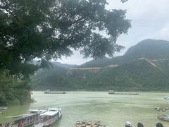 -百里鲜(羚羊峡古栈道森林公园店)