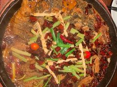 老板恋上鱼-老板恋上鱼(高新万达店)