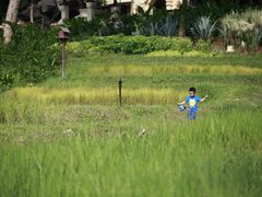 -四季酒店下午茶