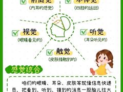 -金色雨林感统训练·专注力·语言认知·心理沙盘(天通苑校区)