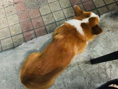 -小梁哥云吞面(黄贝岭店)