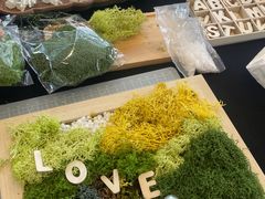 -奔驰上海利星(七宝店)