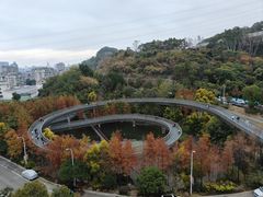 -福道