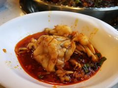 -麻辣巅峰美蛙鱼头火锅(犀浦店)