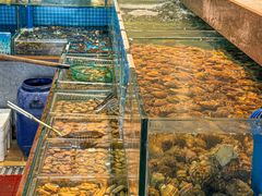 -良师门滨海人家·海鲜·家常菜(滨海城店)