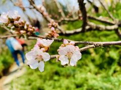 -老井俄式餐厅