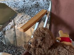 -J Create城市露营咖啡·简餐·宠物(上海动物园店)