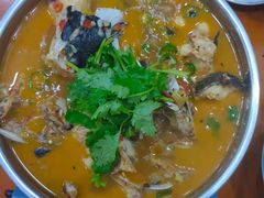-全乐鱼馆·淳牌有机鱼直营店