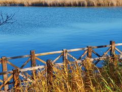 -野鸭湖国家湿地公园