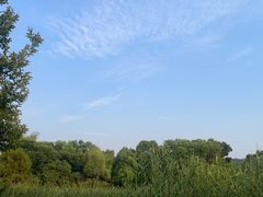 -西山漾湿地公园