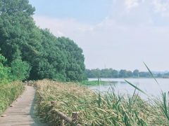 -东湖落雁景区