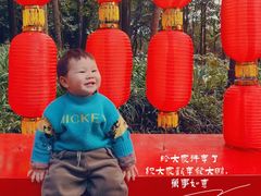 -峨眉山报国寺