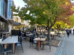 -Patagonia Chocolates(皇后镇店)