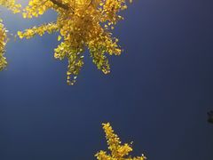 -馋嘴诱惑