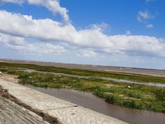 -南汇嘴观海公园