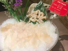 象拔蚌-協成海鮮火鍋(老店)