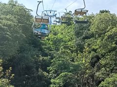-富斯特索道