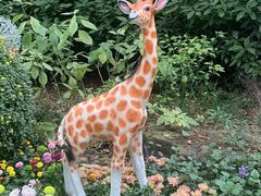 -上海共青森林公园