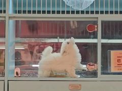 -FAELING PETS美天灵宠物(合生汇店)