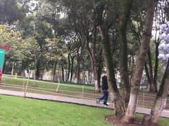 -重庆市江北嘴中央商务区中央公园