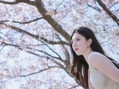 -高东镇樱花园