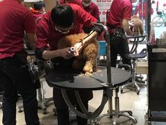 -宠物家(双井店)