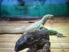 -石家庄市动物园