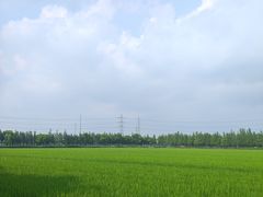 -广富林郊野公园