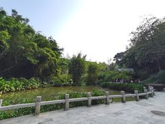 -广州市白云山风景名胜区
