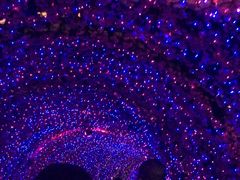 -华熙生物·润百颜ECM中心