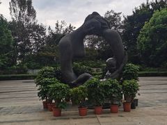 -重庆彩云湖湿地公园
