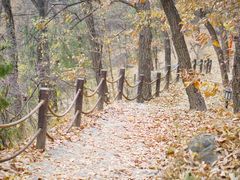 -阳台山自然风景区