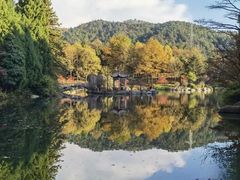-四明山国家森林公园