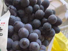 -马陆小张葡萄园农家乐