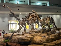 -自贡恐龙博物馆