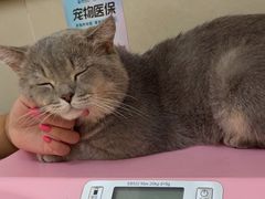 -艾贝尔宠物医院 ·内科全科(梁溪路店)