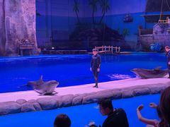 -华夏文旅海洋公园