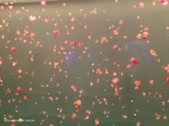 -多彩贵州城极地海洋世界