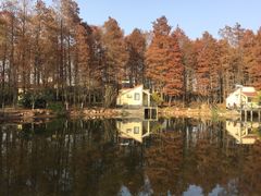 -共青国家森林公园-售票处