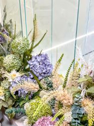 -摩睫+皮肤管理·科学美容中心