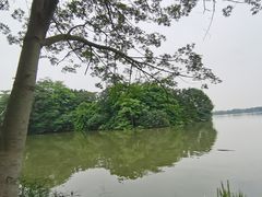 -海珠湖公园