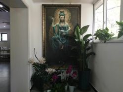 点击看大图 -翎兰瑜伽·普拉提