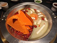 -蜀九香火锅(彩虹店)