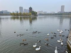 -迎泽公园