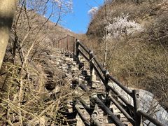 -双龙峡
