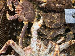 -海鲜e族(马王堆店)