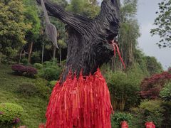 -都江堰景区