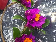 -遇龙河大樟树农家乐