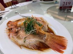 -黄埔华苑酒家(黄埔总店)