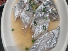-金海湾海鲜排档(朱家尖店)